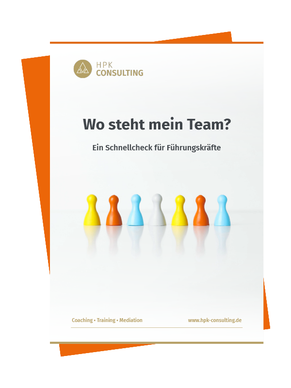 Team-Check für Führungskräfte, PDF mit 15 Fragen