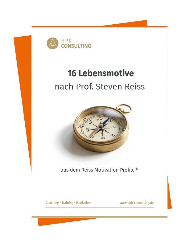 16 Lebensmotive nach Prof. Steven Reiss